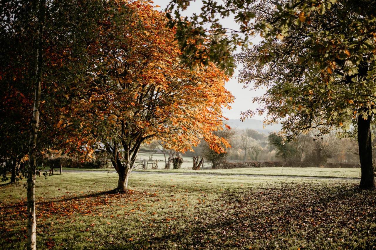 Caplor Glamping & Lodges Hereford Buitenkant foto