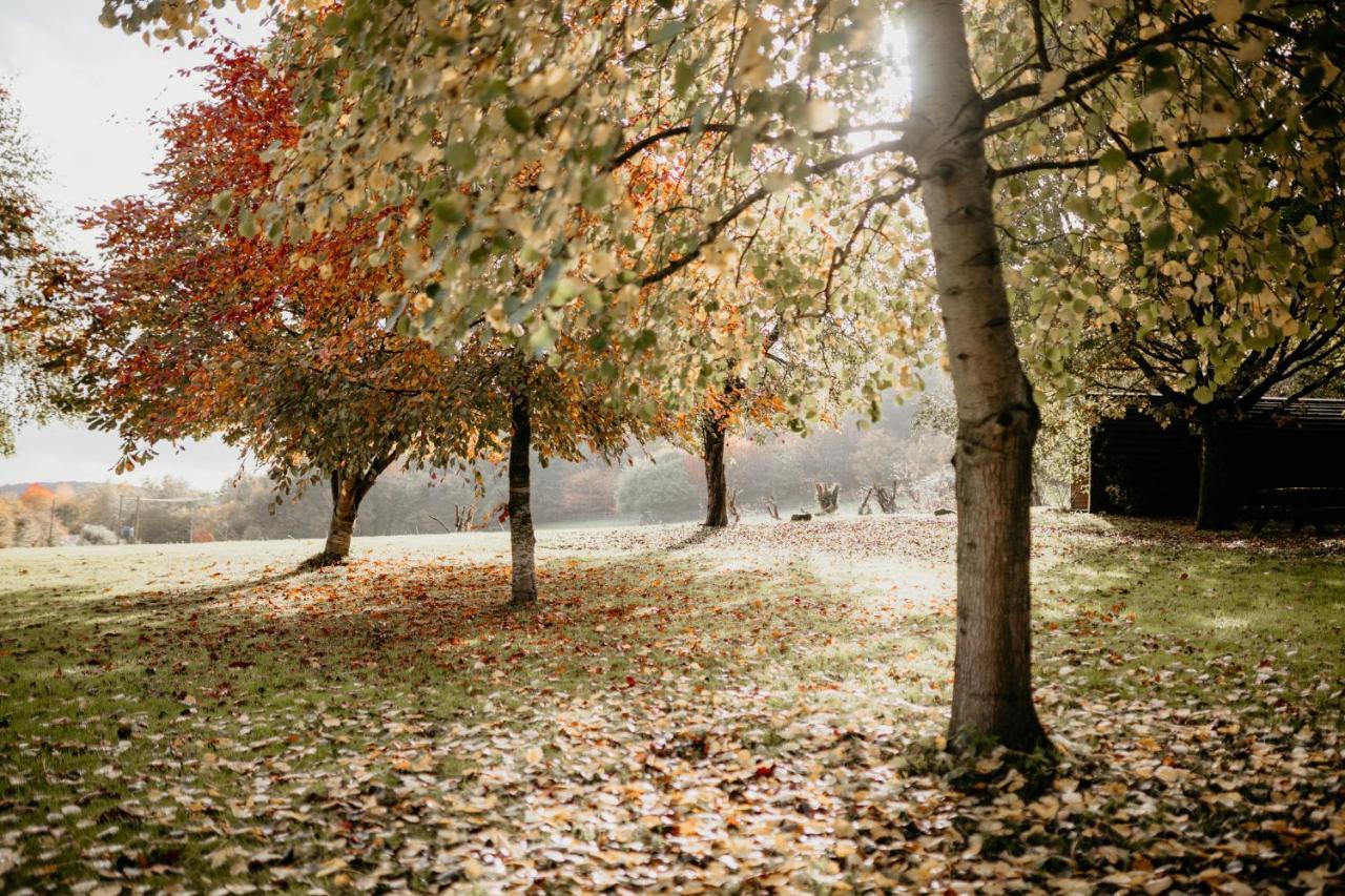 Caplor Glamping & Lodges Hereford Buitenkant foto